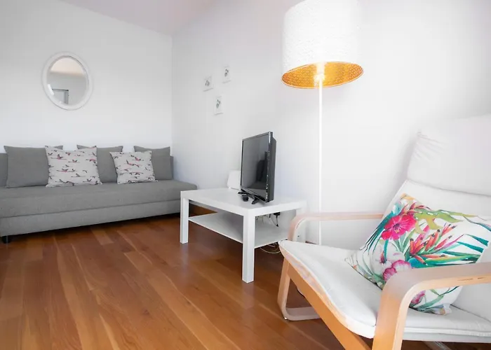 Modern With Spacious Terrace 公寓 圣塞瓦斯蒂安